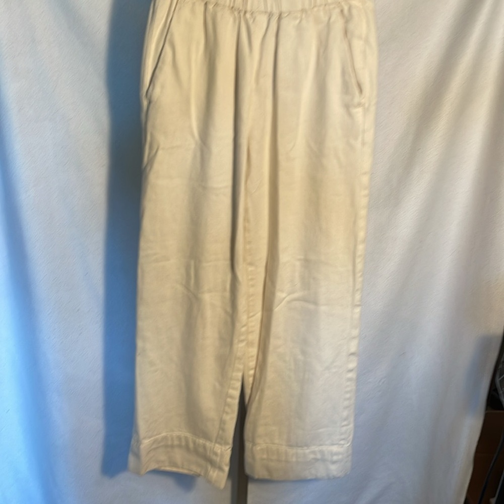 102 (Everlane Pants) - Picture 6 of 13